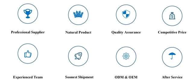 LonierHerb Ltd