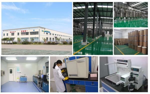 LonierHerb Factory