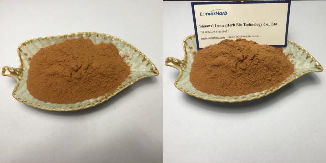 Agaricus Blazei Extract 20% Polysacchrides Agaricus Blazei Extract 20% Polysacchrides