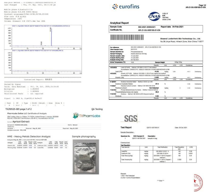 Test Report 3