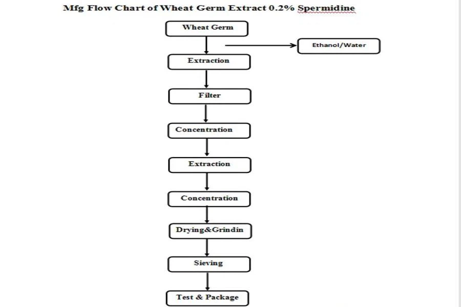 Wheat Germ Extract Flow Chart
