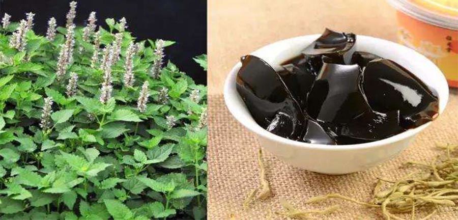 Grass Jelly Leaves Powder