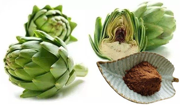 Artichoke Extract Powder