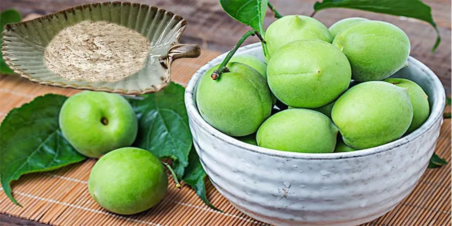 Green Plum Juice Powder