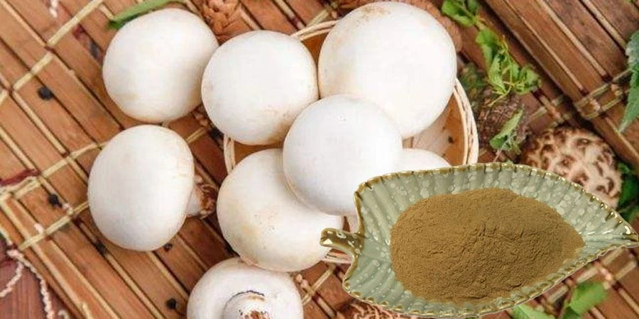 Natural Agaricus Bisporus Extract