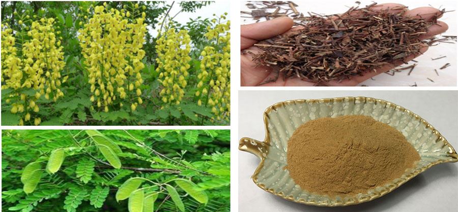 Nomame Semaherb Extract