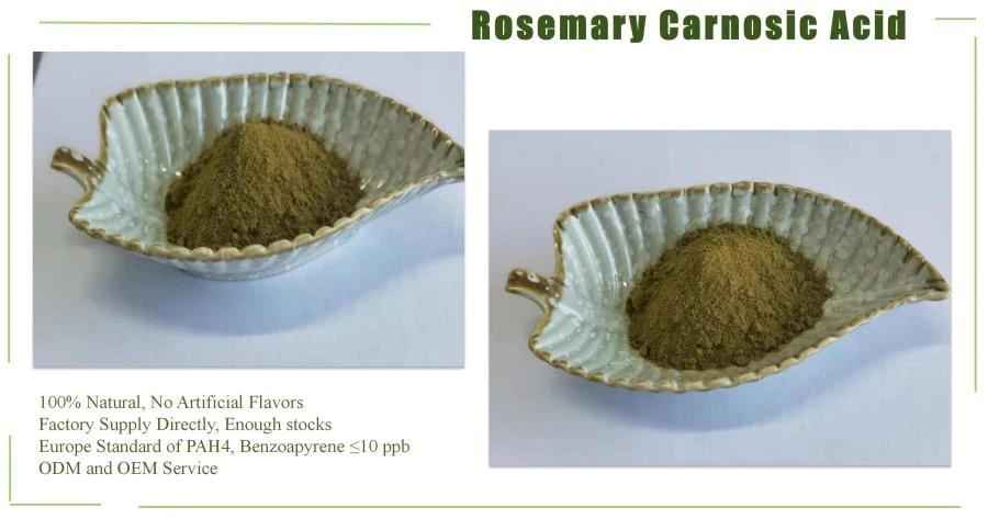 Rosemary Extract, 25% Carnosic acid