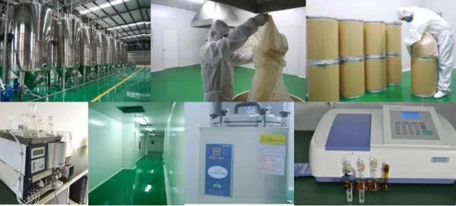 Factory and packing Factory and packing