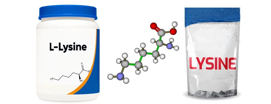 lysine lysine