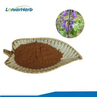 Bubuk ekstrak forskolin