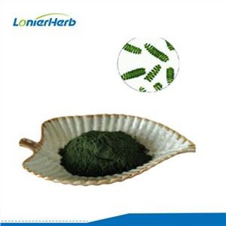 Bubuk Protein Spirulina