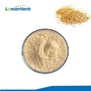 Ekstrak Bibit Gandum