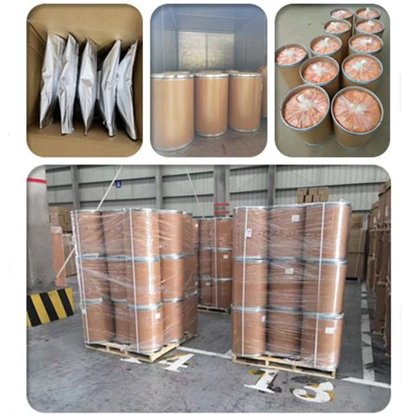 Andrographis Paniculata Extract Powder
