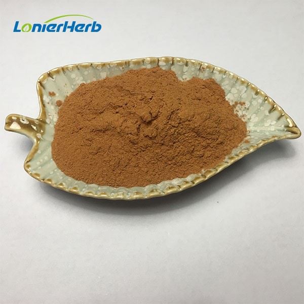 Marasmius Androsaceus Mushroom Extract