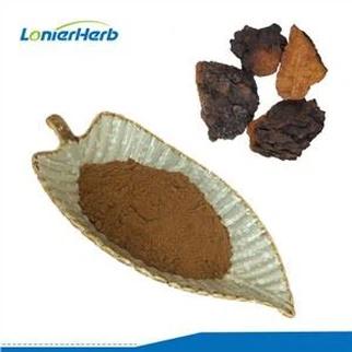 Bubuk Ekstrak Jamur Chaga