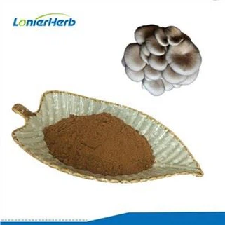 Ekstrak Pleurotus Ostreatus