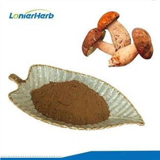 ekstrak jamur porcini