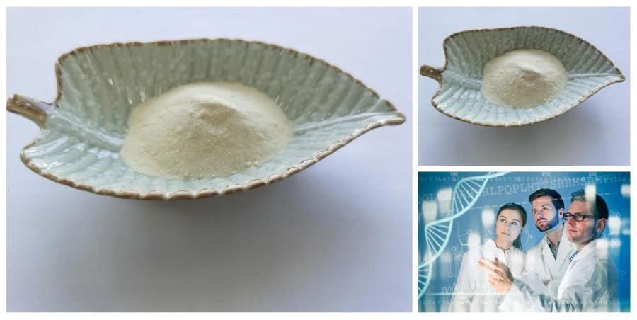 Fursultiamine Powder Fursultiamine Powder